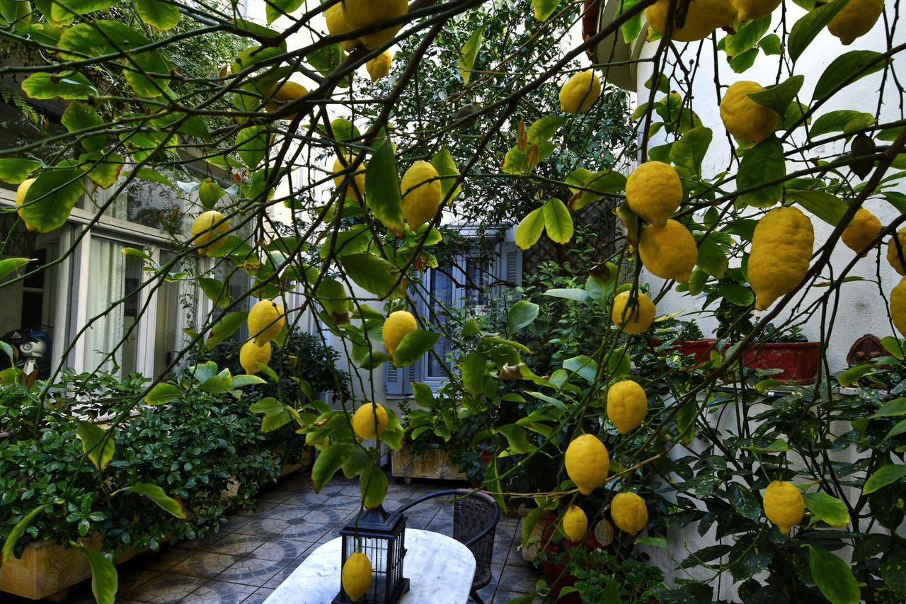 Ferienwohnung Athens Authentic Elegance At Acropolis Exterior foto
